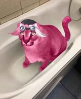bigcat
