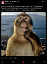 Screenshot 2025-06-17 at 15-00-43 Kai Saikota 🐲☁️ idol on X every time poko says have you thought about that i think about this fuck ass monkey thinking meme and it takes me OUT like idk poko i didnt think about it ... but[...]