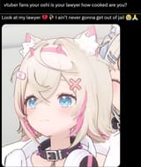 vtuber mococo lawyer
