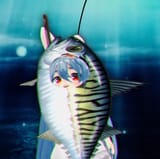 parafish