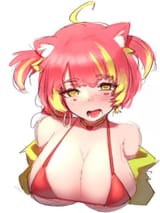 tomacat