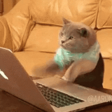 mad-typing