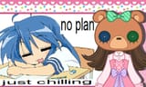 no plan