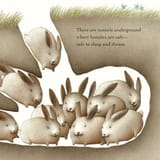 rabbasleep
