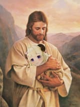 FB_IMG_1605257766461
