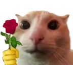 14141421