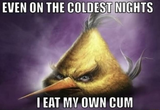 3y7048
