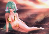 FinanaSwimsuit