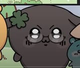 kikawa