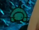 turt