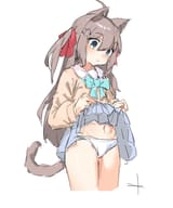 vildd6