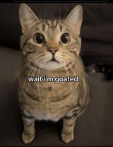 goated