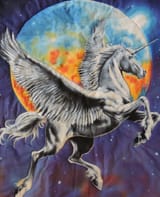 Pegasus Unicorn
