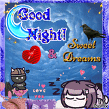 Shnight1