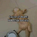 1750318463854