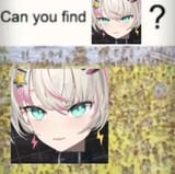 Find-the-lia-stare