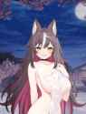 1750223928695364airireq_thumb.jpg