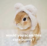 1742901358839862