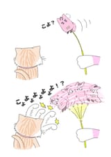 mofukoyoToy