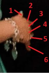 fingers
