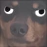 Bark