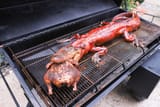 40_smoked_whole_alligator