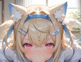 catbox_wh3ckp