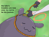 Tako_Flap_remove