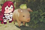 poogpoog