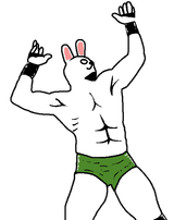 dachamp