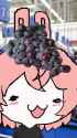 grapes[sound=files.catbox.moe%2Fo7foml.ogg]_thumb.jpg
