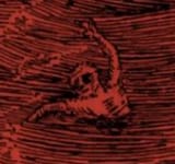 1746731886137119