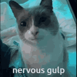 1711175037740