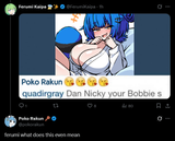 Screenshot 2025-06-20 at 13-22-11 Poko Rakun 🔑 on X @FerumiKaipa @morebreasts ferumi what does this even mean _ X
