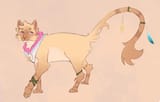 pomacustomsona