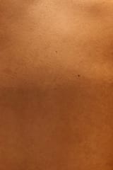 Flesh