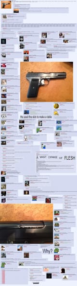 1742994231068182
