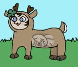 deerkiki