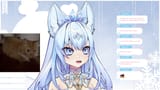 Cat tiktok