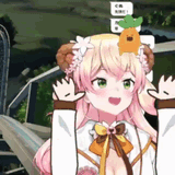 nenecoaster