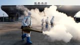 spray