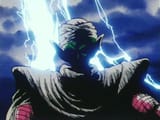 piccolo