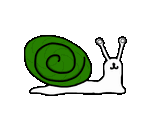 snail champy