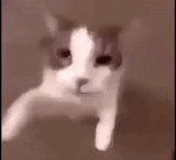 1748590749694204