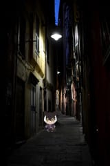 IMG_3940