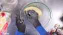 Do You[sound=https%3A%2F%2Ffiles.catbox.moe%2Fh25484.m4a] - Copy_thumb.jpg