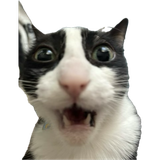 1742715798394374