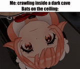 pillowdearbat-ezgif.com-optimize