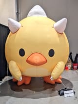 @cillia