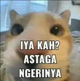 ngerinyooo